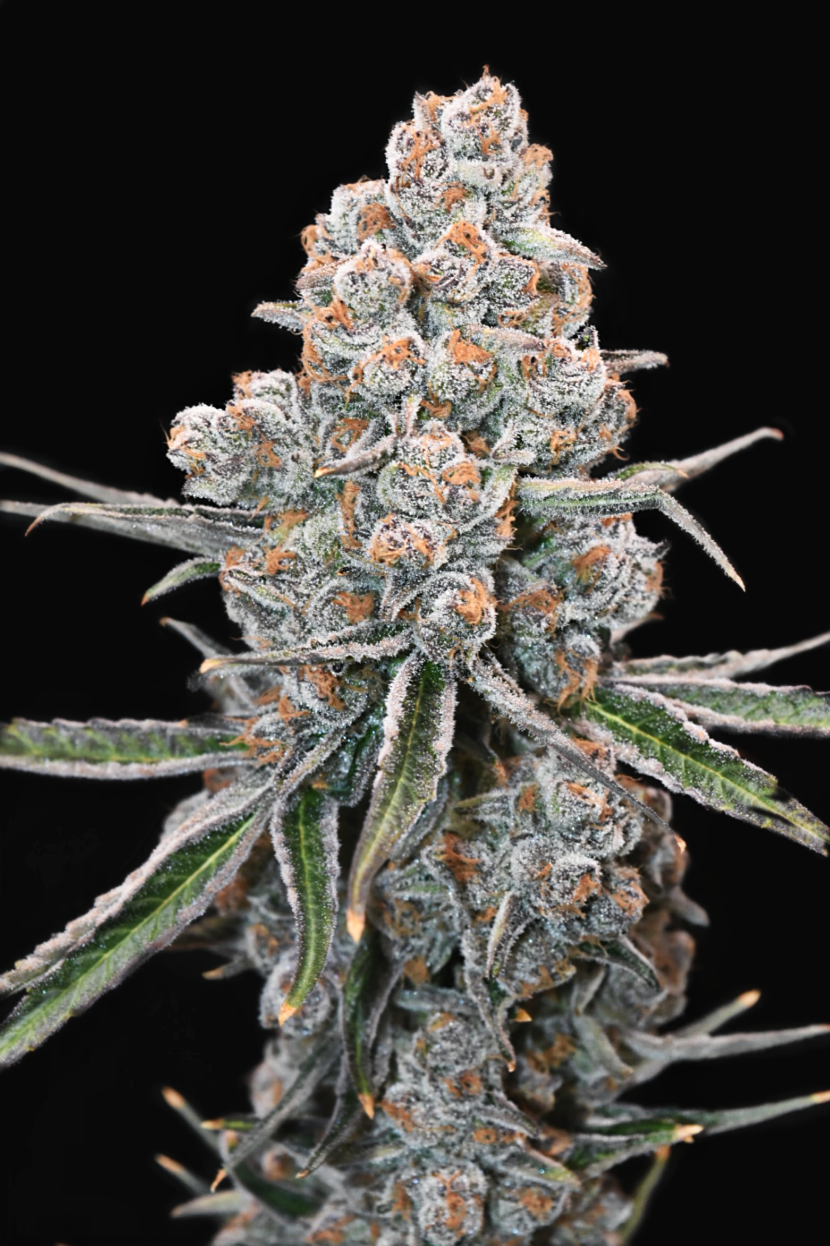 Indoor Image