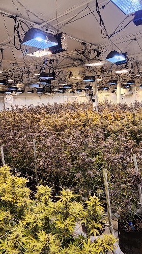 Indoor Image