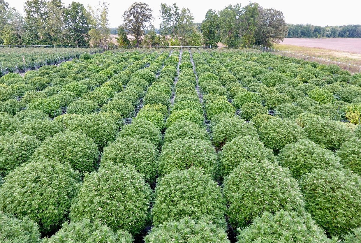 Outdoor Image