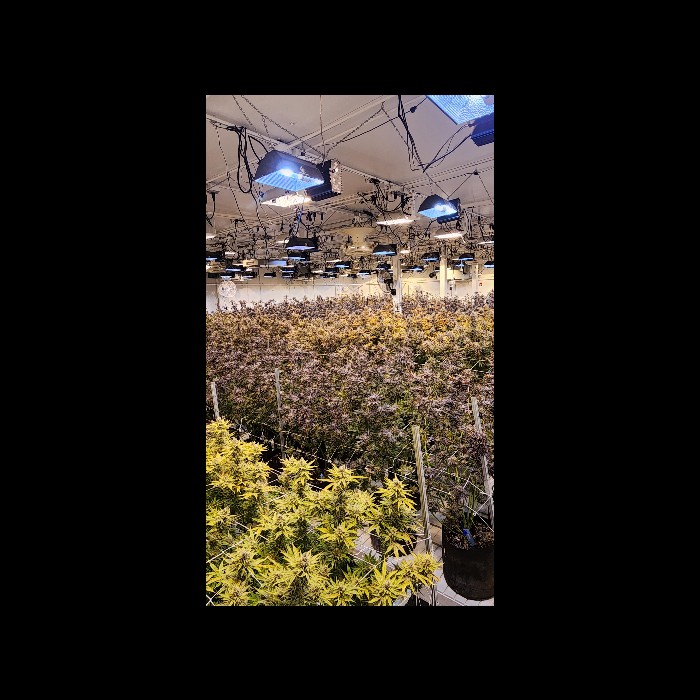 Indoor Image