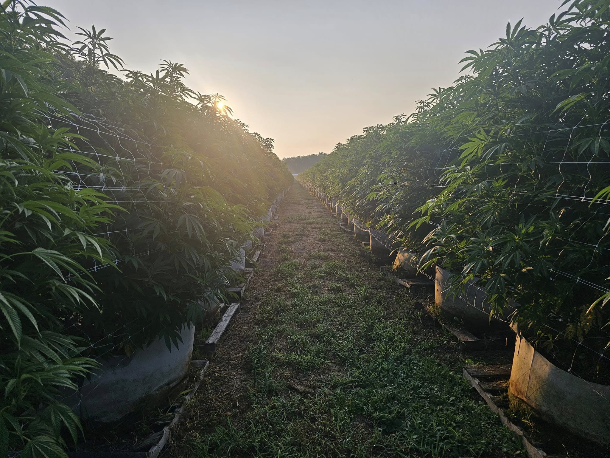 /outdoor pic.jpg
