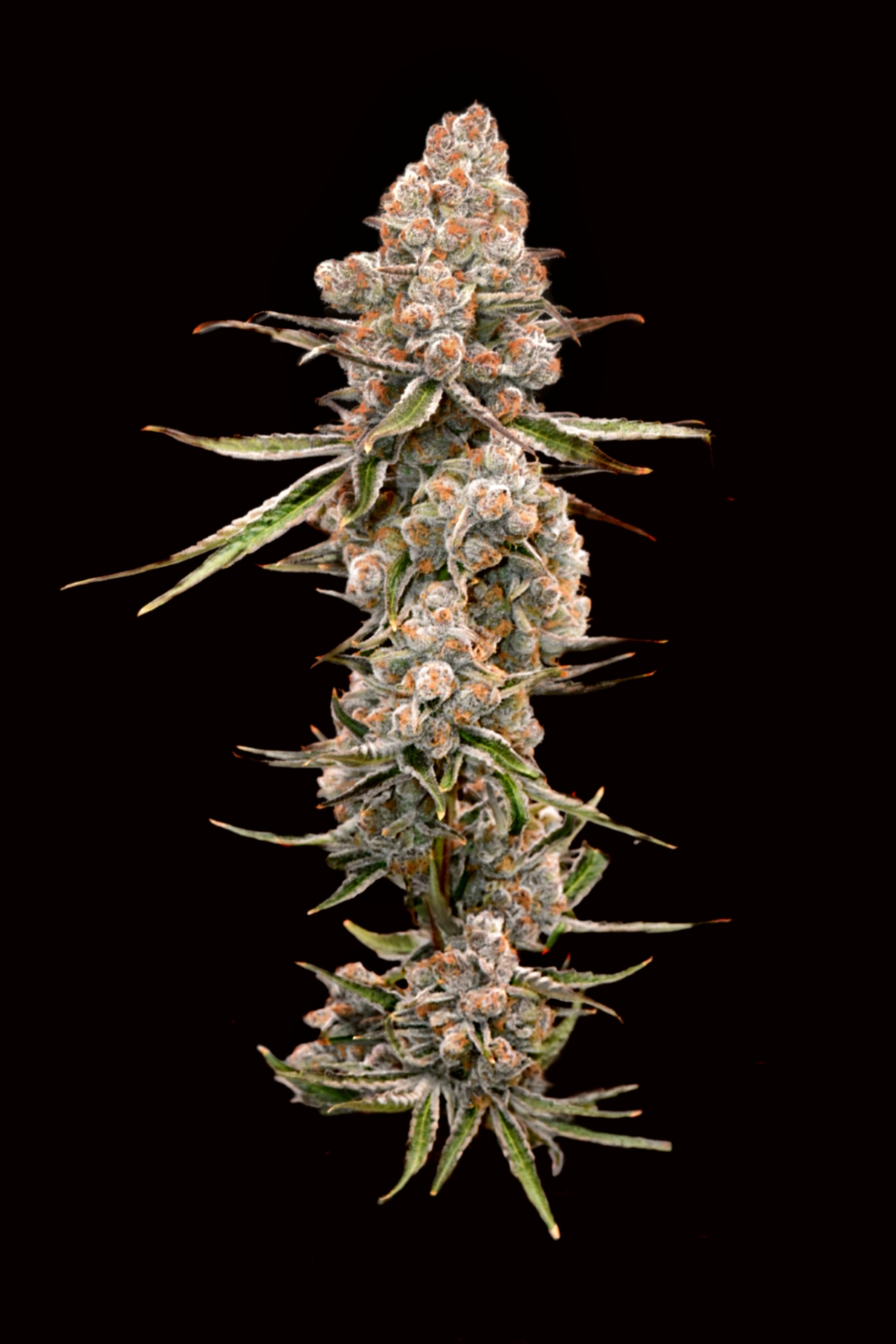 Indoor Image