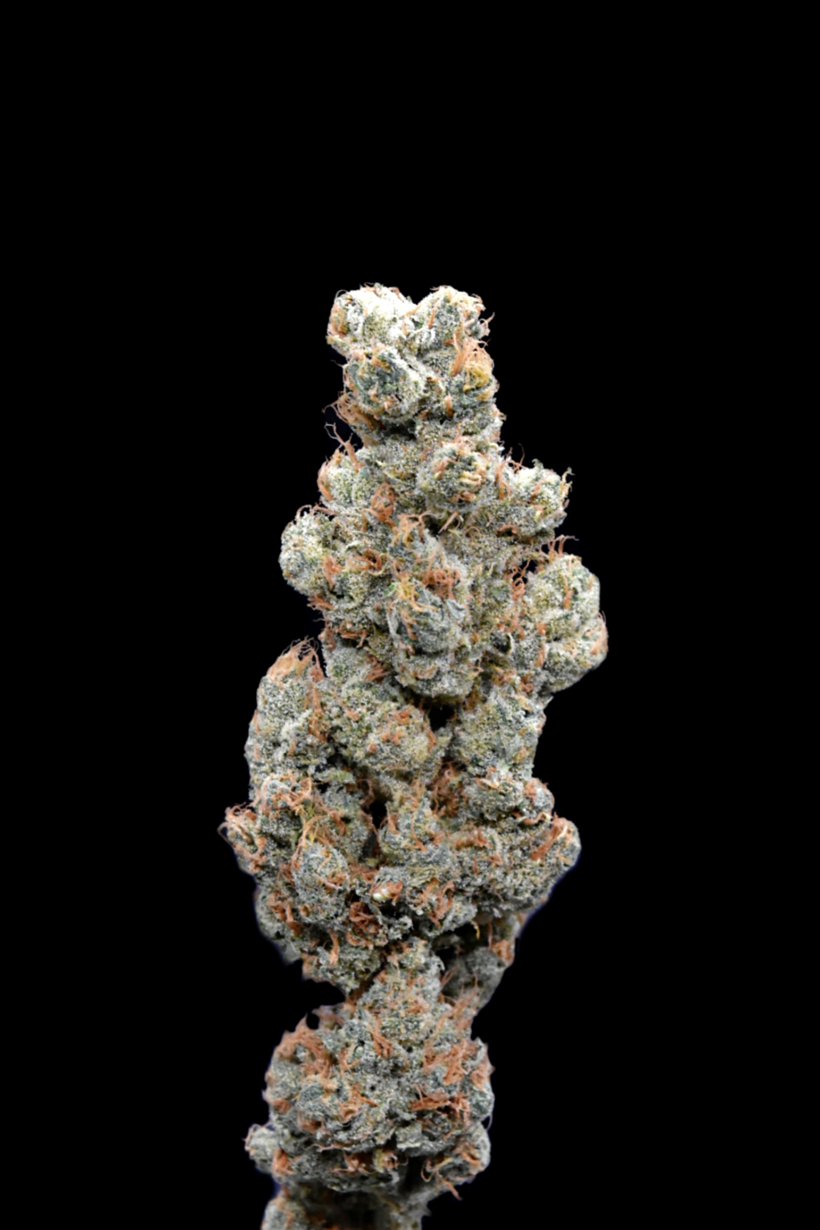 Grape Guava